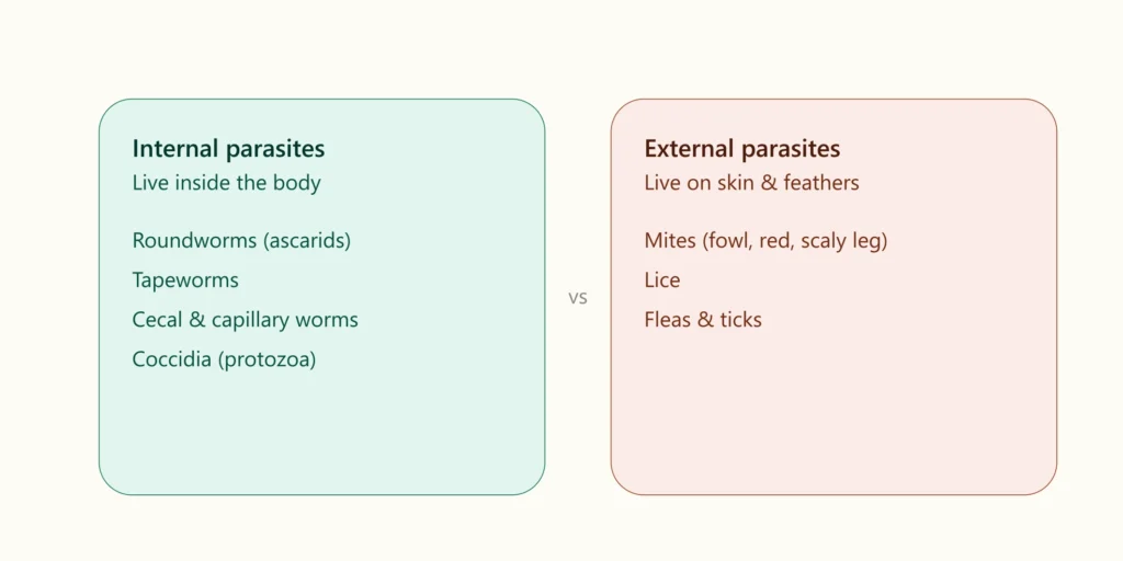 Parasitic Chicken Diseases