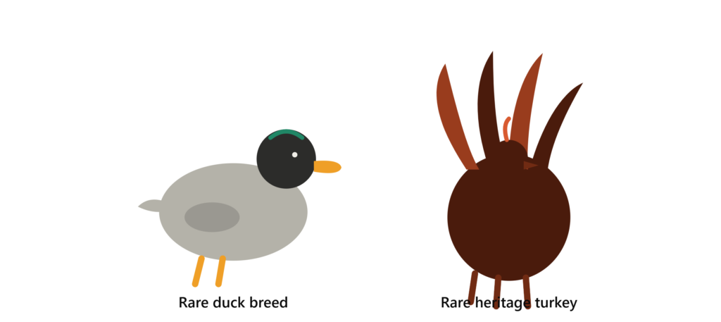 Rare Poultry Breeds: The Complete 2026 Guide